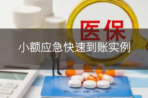 小额应急快速到账实例
