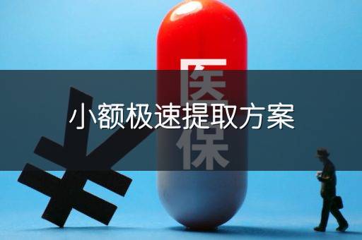 小额极速提取方案