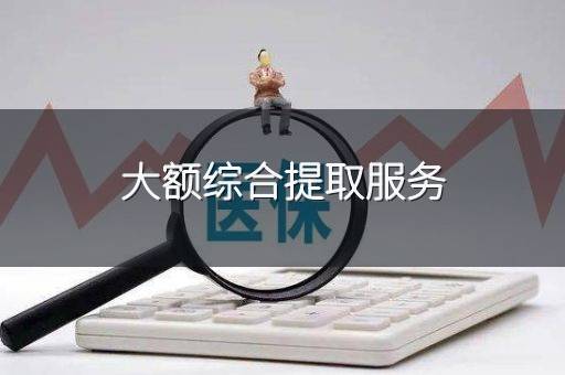 大额综合提取服务