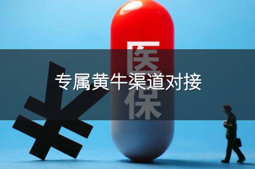 专属黄牛渠道对接